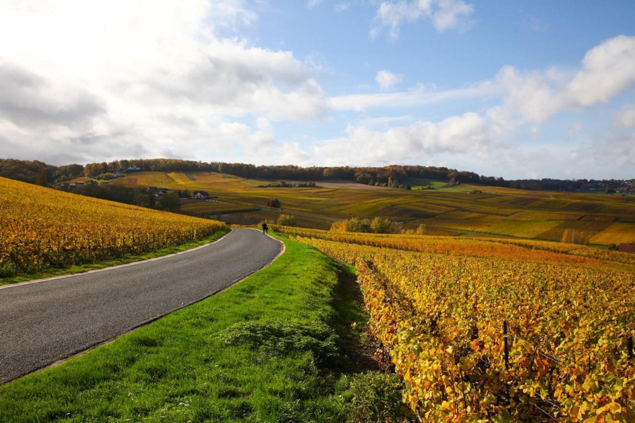 Hostellerie Briqueterie & Spa Champagne Вине Экстерьер фото Vineyards in the Moselle valley